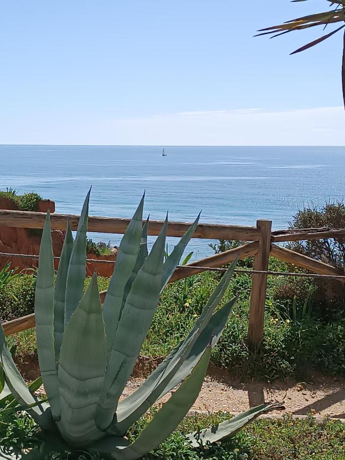 Mar A Vista Algarve Summer Portimao Luaran gambar